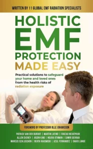 No Radiation photo 6